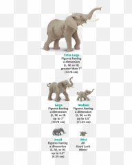 Safari Ltd Size Chart - African Elephant png