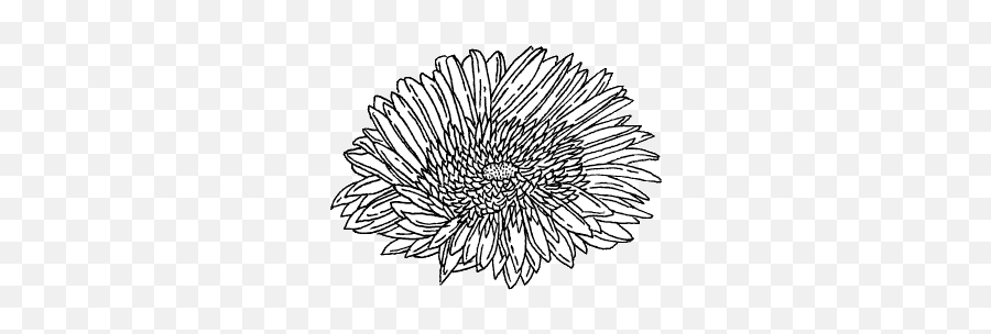 Untitled - Image 2201655 On Favimcom Lovely Png,Transparent Flower Drawing Tumblr