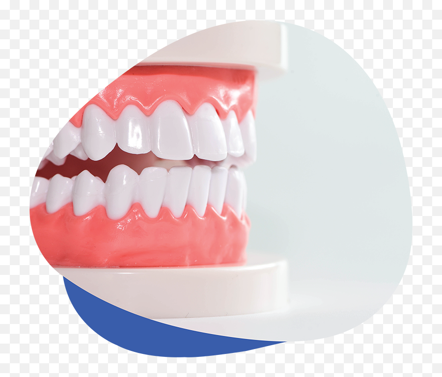 Westerville Dental Associates - Tongue Png,Dentures Png