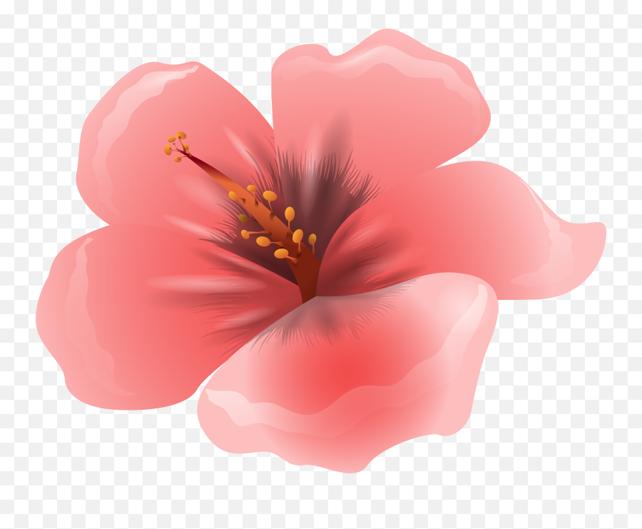 Pink Clipart Flowers Png Transparent
