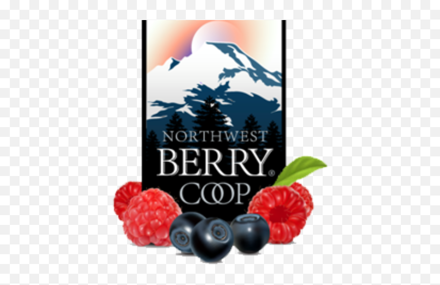 Cropped - Logopng Northwest Berry Coop Gilbert Az,Superfruit Logo