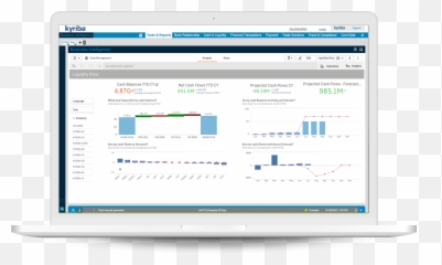 Cash Management System Solutions - Treasury Dashboard png