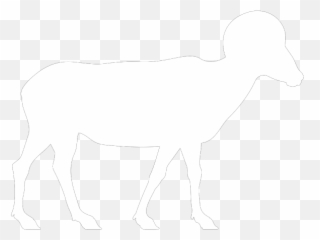 White Ram Png Svg Clip Art For Web - Download Art