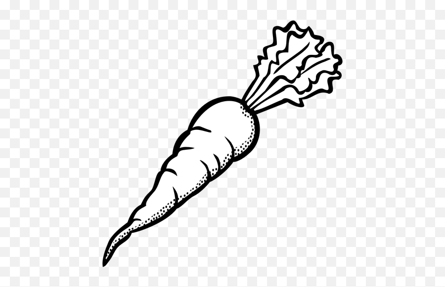 Black Clip Art Carrot - Black And White Clipart Of Carrot Png,Carrot Transparent Background