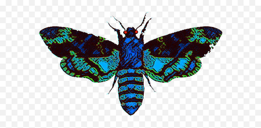 Download Moth Man Clipart Hq Png Image Freepngimg - Mothman,Man Clipart Png