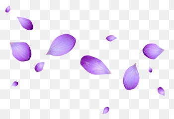 Petalos De Rosa Png - Judith Aurora Arias Sarmiento Purple Transparent Flower Petals Png