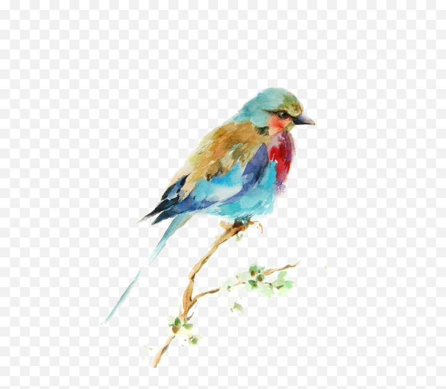 Download Bird Watercolor Printmaking Drawing Painting Birds - Best Watercolor Paintings Of Bird Png,Blue Bird Png