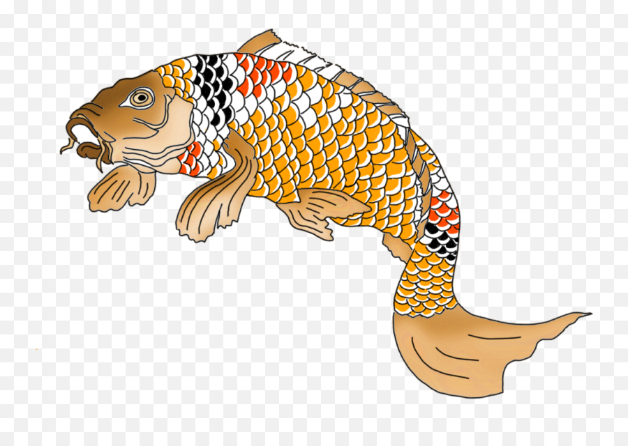 Orange Red Black White - Japanese Art Koi White Png,Koi Fish Png