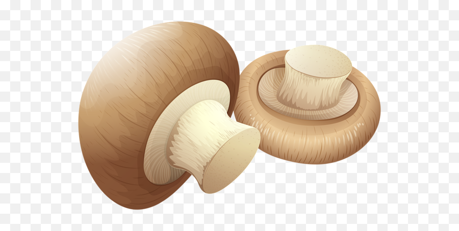 Mushroom Download Free Clip Art With A Transparent Png Background