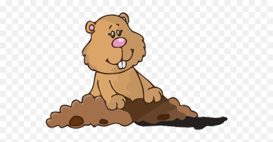 Cartoon Brown Bear Grizzly For Greeting - Cartoon Png,Groundhog Png