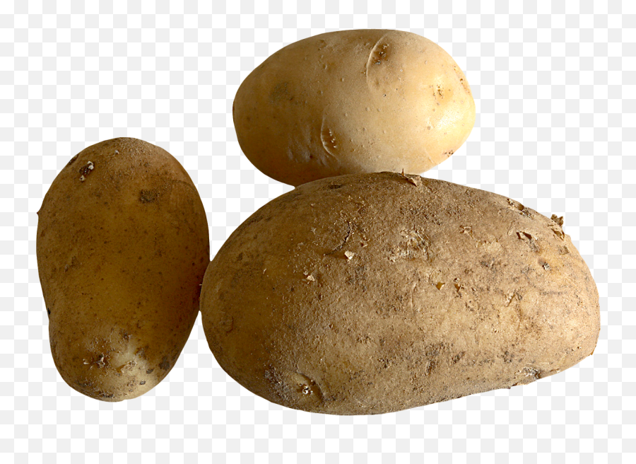 Fresh Potato Potatoes Pumpkin Png - Potato,Potatoes Png