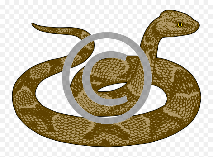 Copperhead Snake - Clip Art For Snake Png,Snake Png