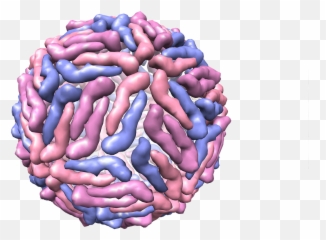 Dengue Virus 3d Structure - Transparent Png