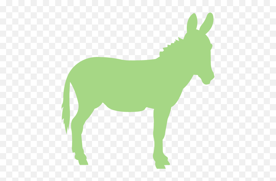 Guacamole Green Donkey 2 Icon - Free Guacamole Green Animal Donkey Sanctuary Of Canada Png,Burro Png