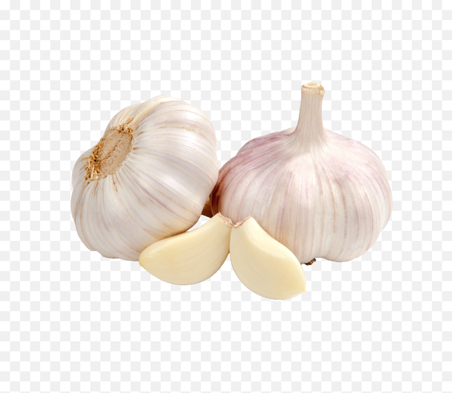 Garlic Sticker By Taliafera Png Transparent Background