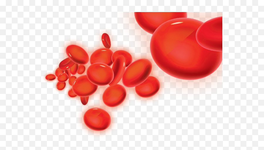 Invasive Blood Flow Adinstruments - Transparent Blood Circulation Png,Flow Png