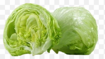 Lettuce Iceberg - Transparent Png