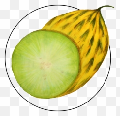 Jason B Graham Png Melon