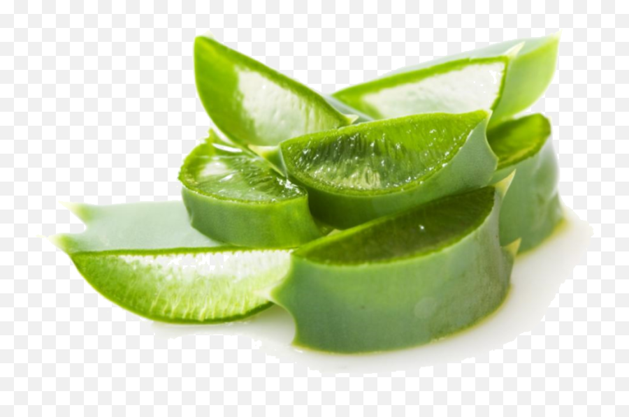 Aloe Vera Png