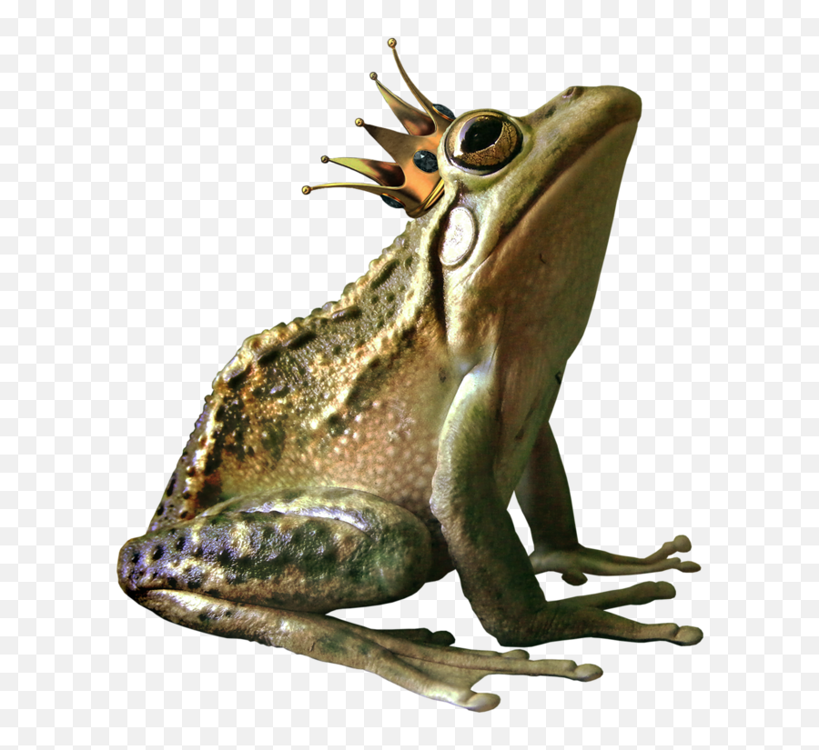 Frog Png High - Quality Image Png Arts Transparent Frog With Crown Clipart,Wednesday Frog Png