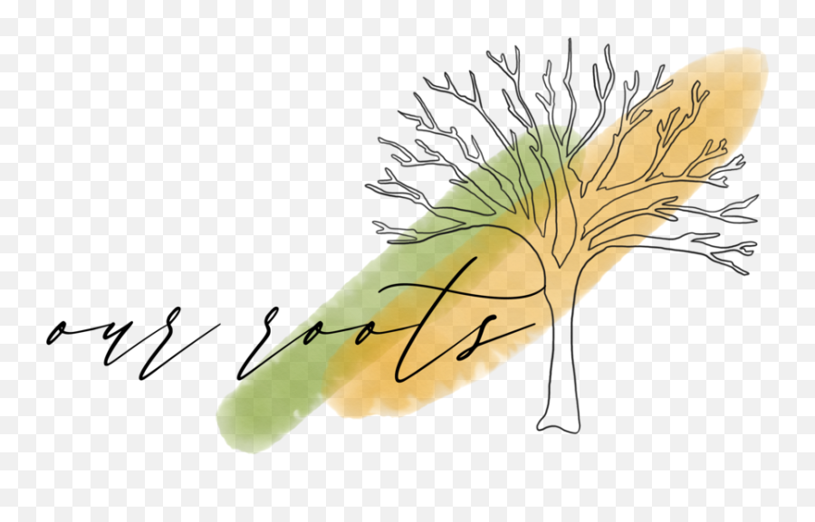 Hazel Lining Photography - Drawing Png,Tree With Roots Png