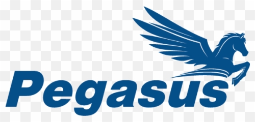 Welcome To Pegasus Alarm Gauges - Lowpressure Nitrogen Vertical Png,Red Pegasus Logo