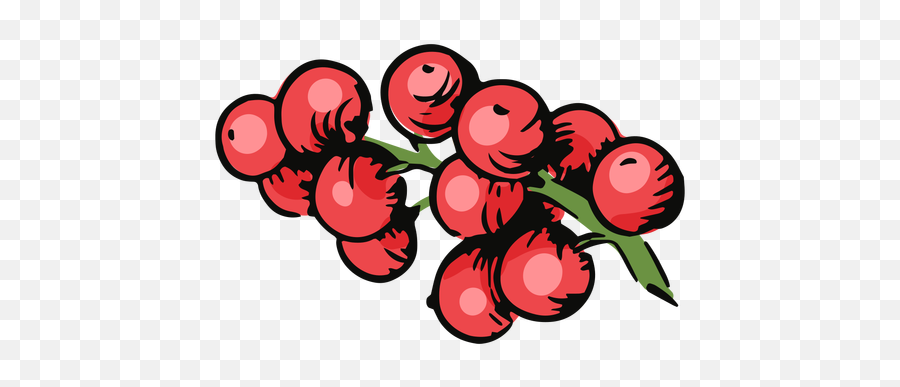 Mistletoe Berries Illustration - Transparent Png Dot,Mistletoe Transparent
