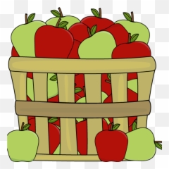 Apple Clipart Clip Art Picture - 1 Oa 7 True Or False Png,Apple Clipart Transparent
