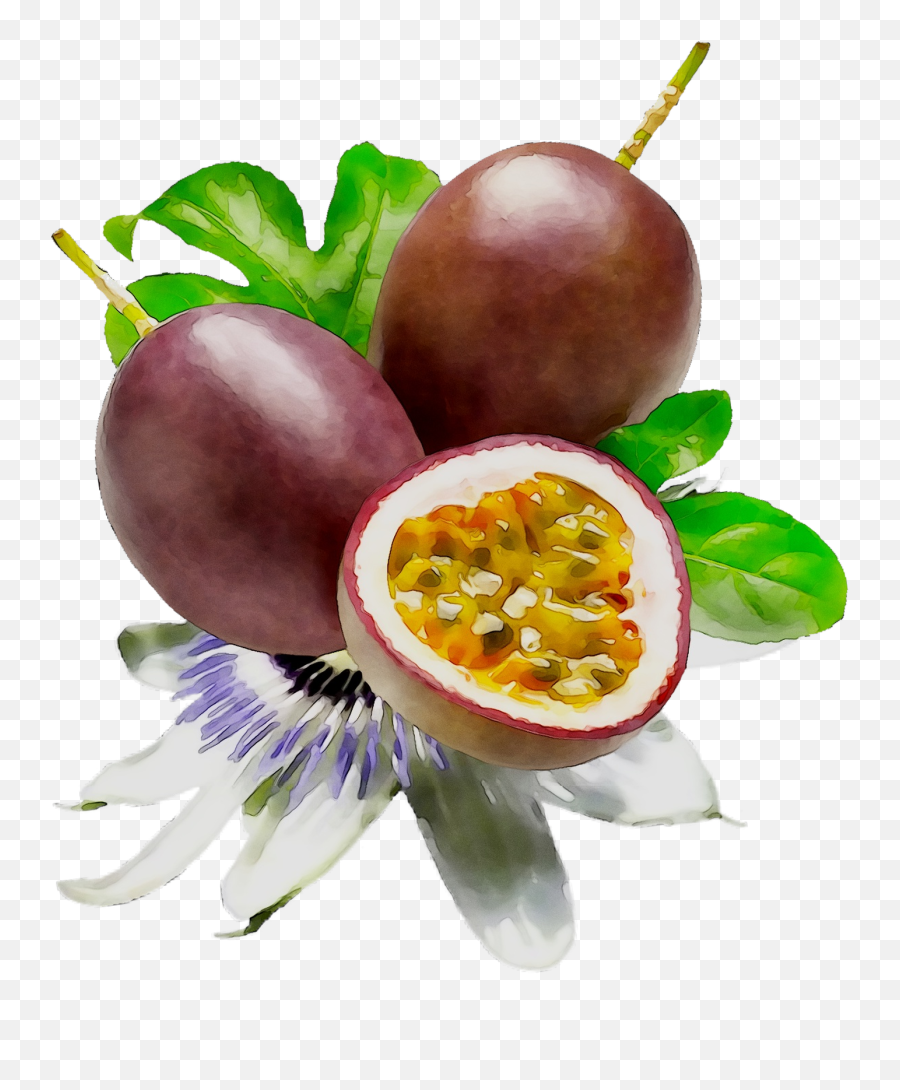 Food Fruit Passion Lipstick Cosmetics - Passion Fruit Flower Paint Png,Passion Fruit Png