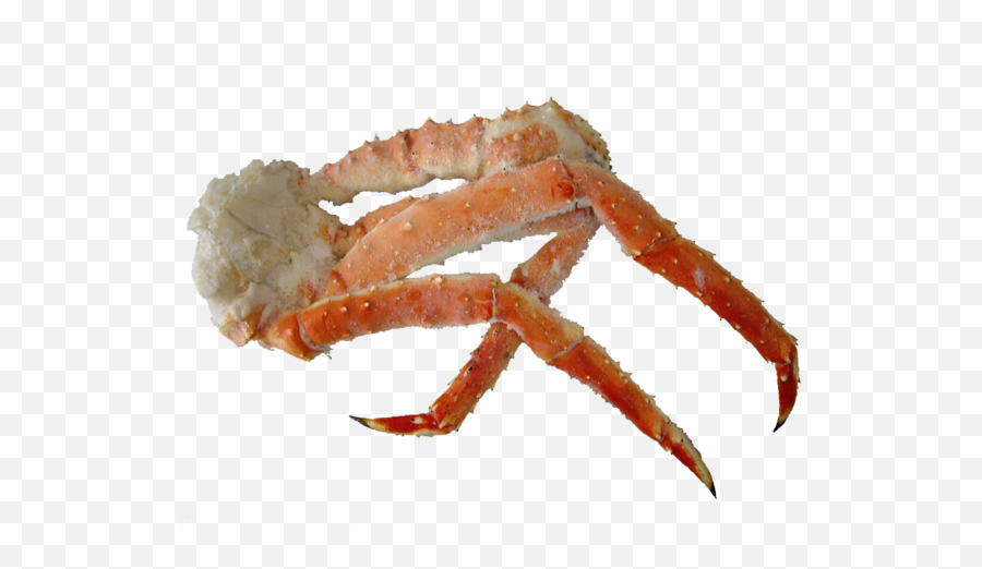 Alaskan King Crab Leg - King Crab Leg Png,Crab Legs Png