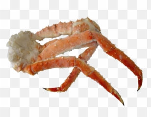 Alaskan King Crab Leg - King Crab Leg Png,Crab Legs Png