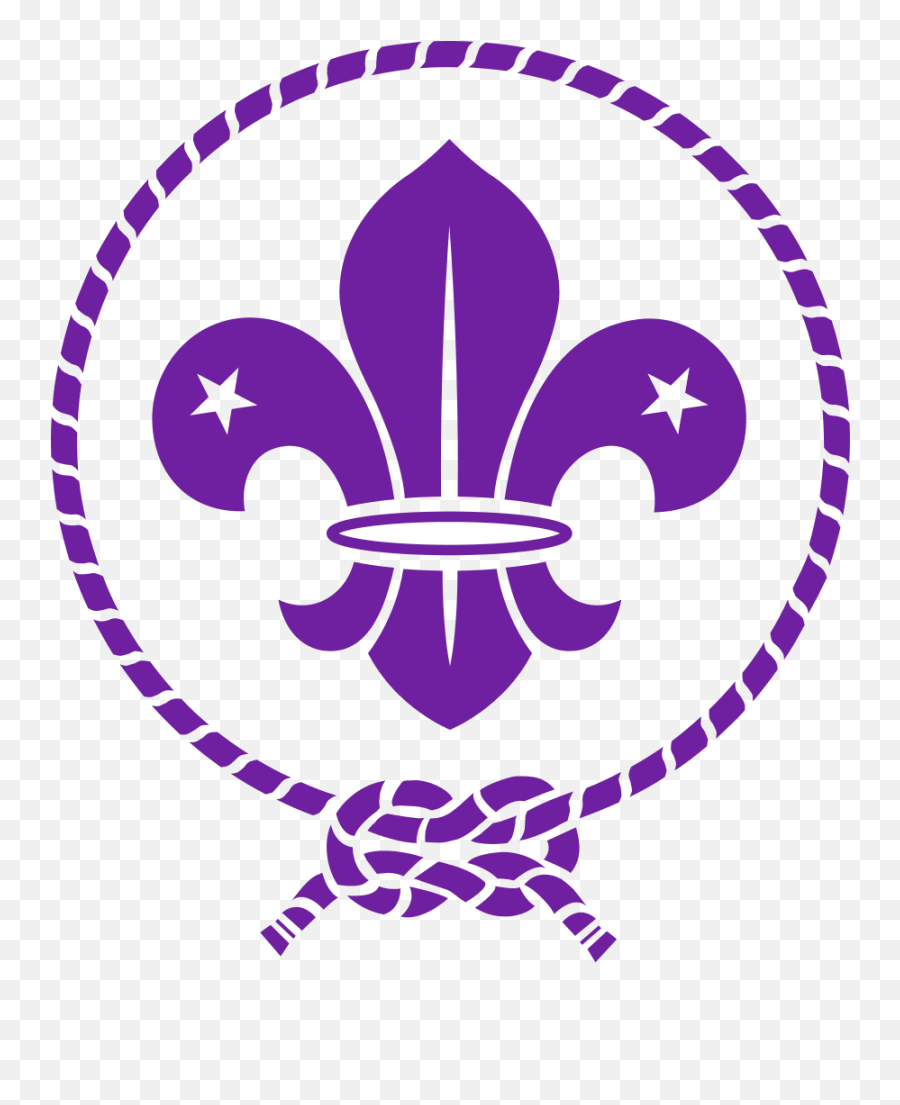 Scout Logos - Fleur De Lis Scouts Png,Bsa Logo Png