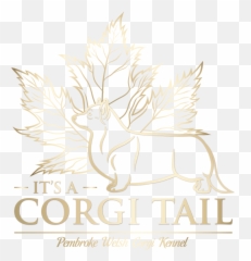 Corgitails Png Corgi Transparent