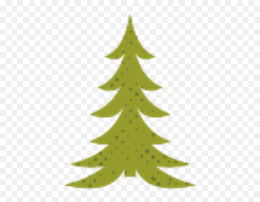 Granite Ghost Town State Park - Montana State Parks Foundation New Year Tree Png,Tom Holland Icon