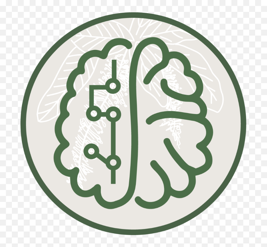 Health Benefits - Language Png,Nervous System Icon