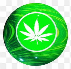 Download Pot Leaf Transparent Png - Yldz Tilbe Azer Bülbül Sözleri