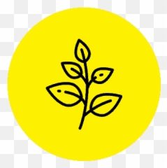 The Most Upgraded Dog Supplements Gorocketocom - Herb Icon Free Png,Crying Ruby Icon Su