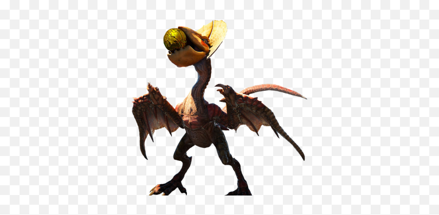 Yian Kut - Ku Monster Hunter Wiki Fandom Yian Kut Ku Png,Kulu Ya Ku Icon