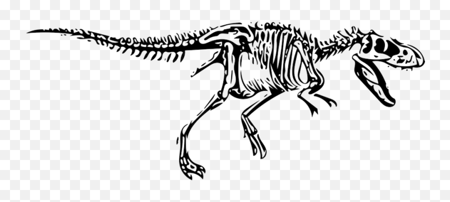 Free T Rex Clip Art Black And White - T Rex Fossil Drawing Png,Dinosaur Skull Png