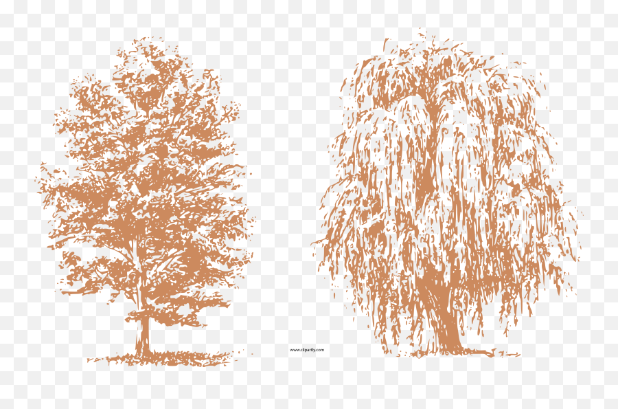 Draw Trees Clipart Png - Pencil How To Draw A Tree,Trees Clipart Png