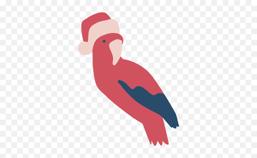 Parrot Png U0026 Svg Transparent Background To Download - Bird,Bluej Icon