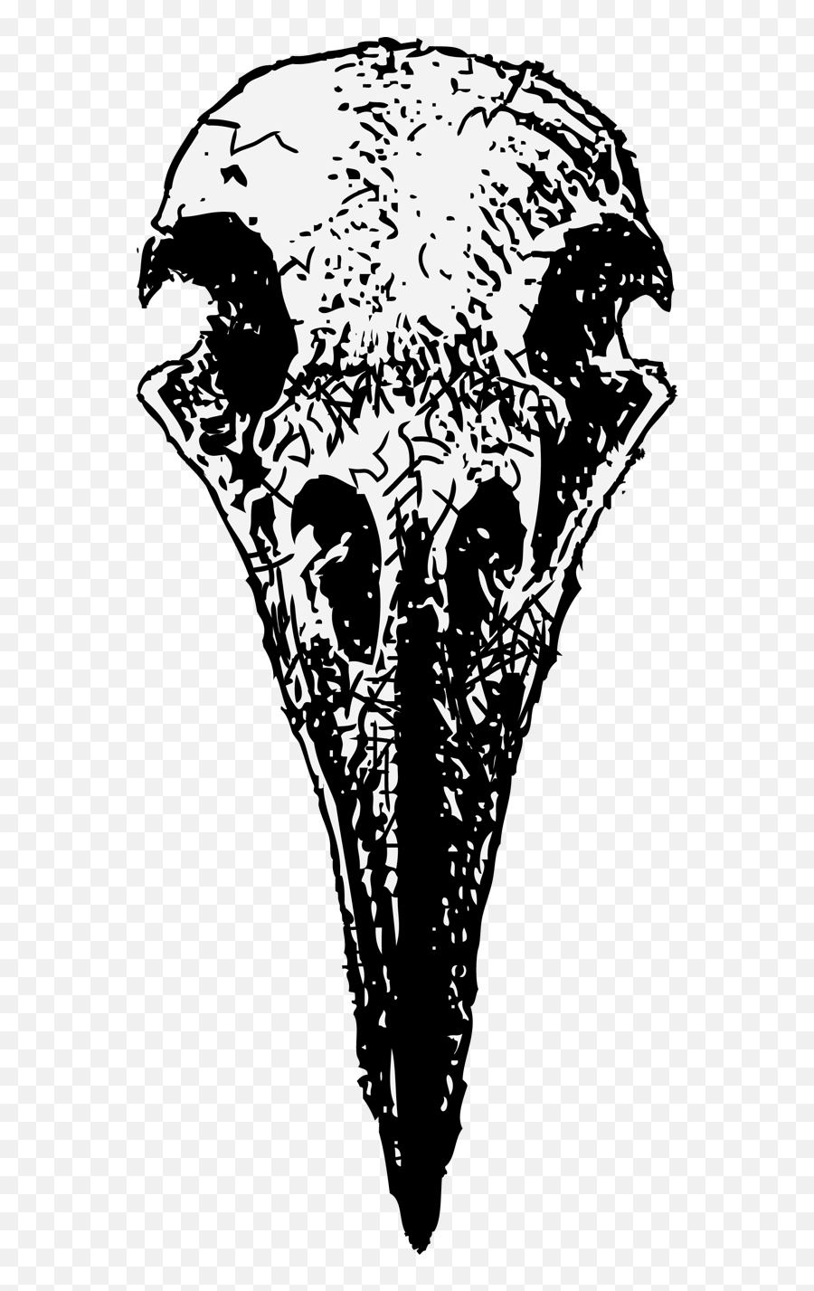 Raven Skull Frontal Drawing - Raven Skull Drawing Png,Skull Drawing Png