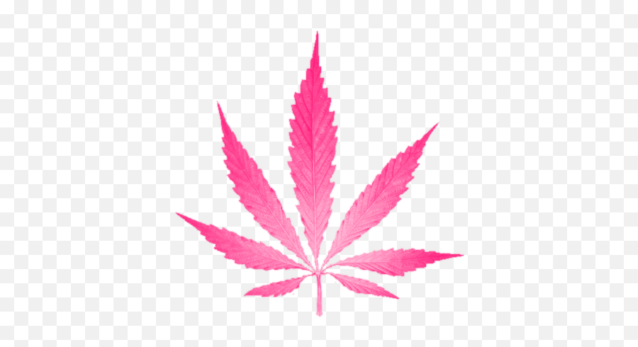 Does Thc Hit Ovulating Women Harder Stoner Things - Transparent Background Cannabis Leaf Png,Cannabis Leaf Png