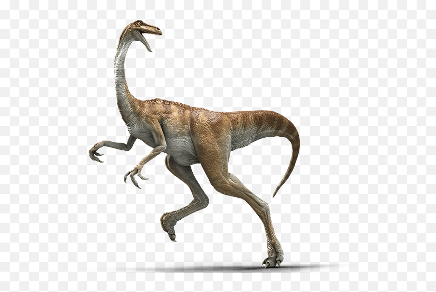 Gallimimus Bullatus Sf U2013 Jurassic - Pedia Gallimimus Jurassic World 1 Png,Jurassic World Png