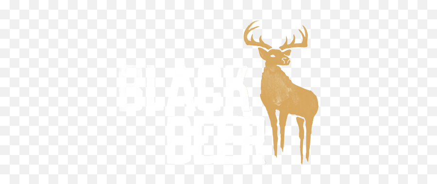 Black Deer Festival - Americana U0026 Country Music Festival New Png,Deer Head Logo