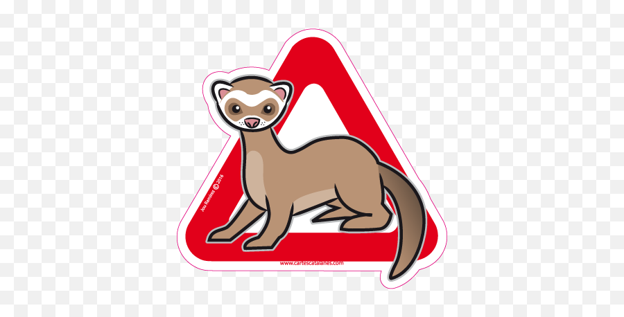 Ferret Transparent PNG