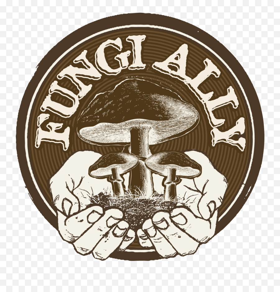 Fungi Ally - Oyster Mushroom Logo Full Size Png Download Logo For Mushroom Business,Fungi Png