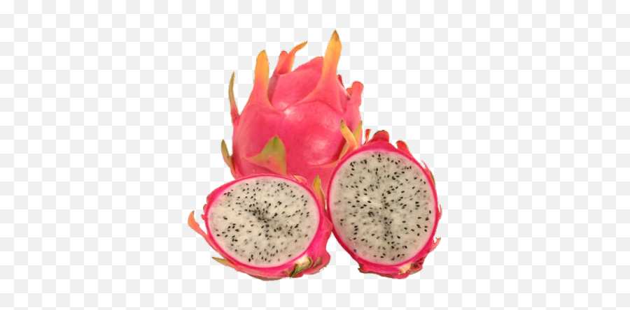 Pin By Mol - Qua Thanh Long,Dragonfruit Png