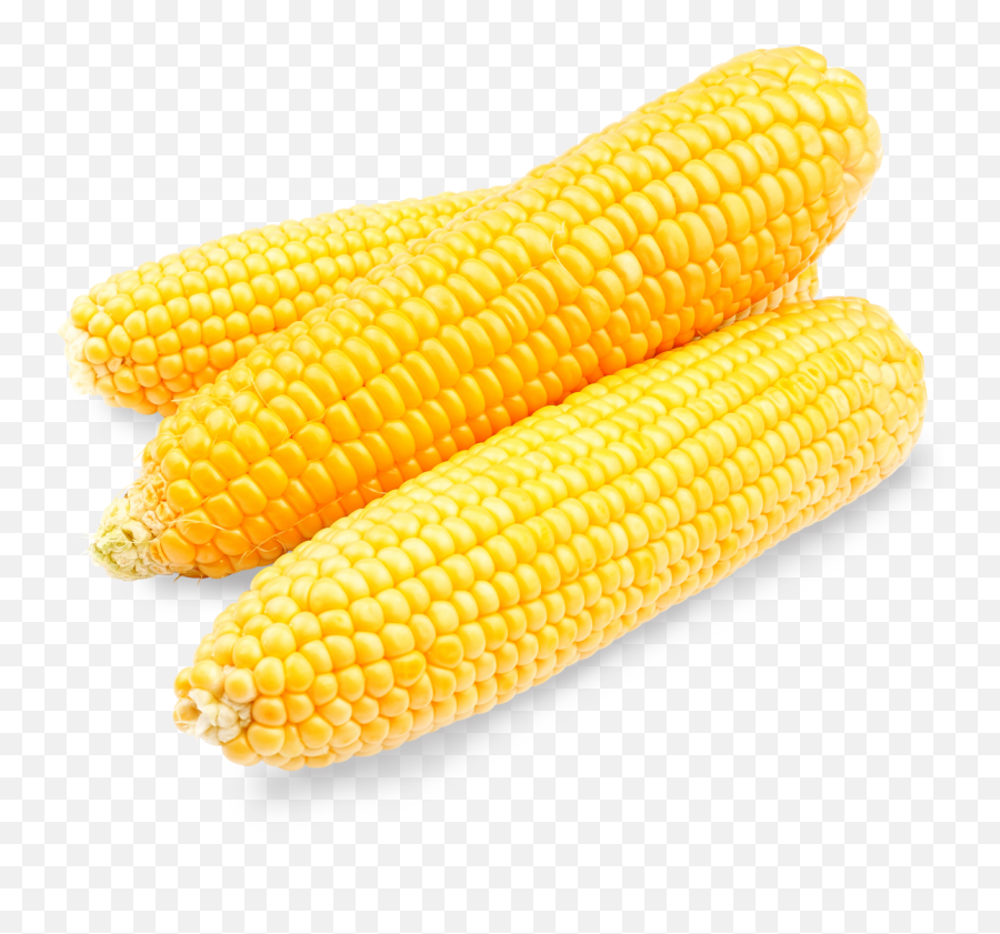Corn - Corn On The Cob Png,Corn Cob Png