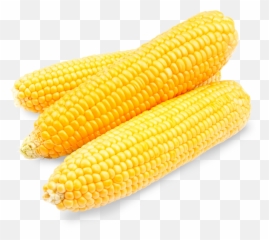Corn - Corn On The Cob Png,Corn Cob Png